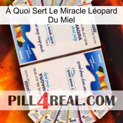 À Quoi Sert Le Miracle Léopard Du Miel kamagra1